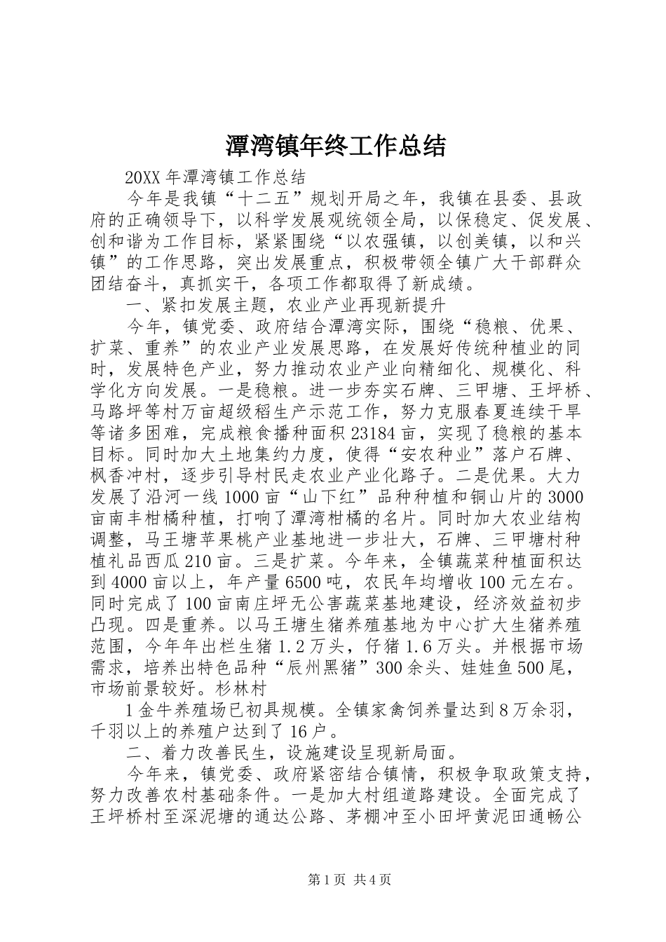 2024年潭湾镇年终工作总结_第1页