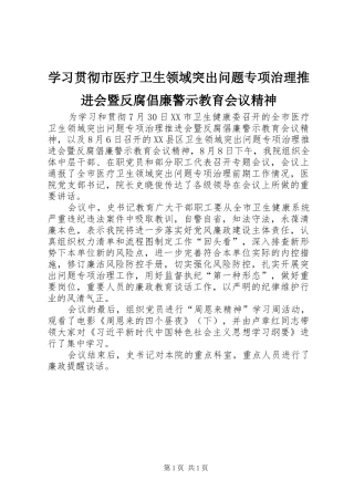 2024年学习贯彻市医疗卫生领域突出问题专项治理推进会暨反腐倡廉警示教育会议精神