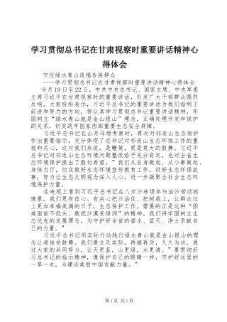 2024年学习贯彻总书记在甘肃视察时重要致辞精神心得体会