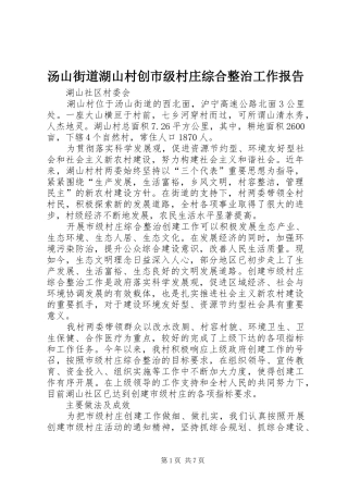 2024年汤山街道湖山村创市级村庄综合整治工作报告