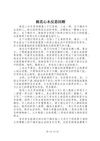 2024年桃花心木反思回顾