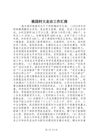 2024年桃园村大走访工作汇报