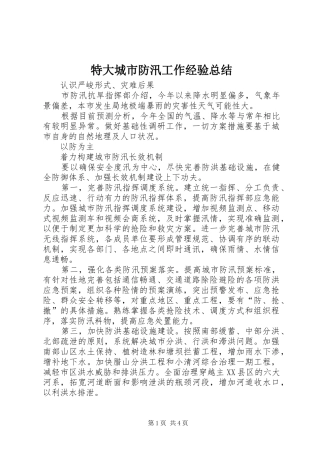 2024年特大城市防汛工作经验总结