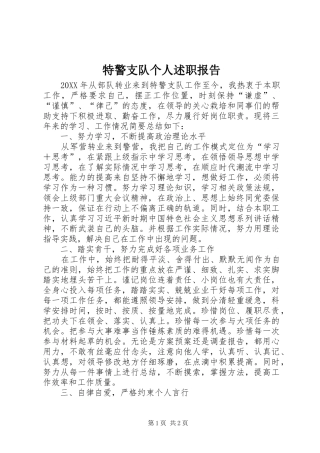 2024年特警支队个人述职报告