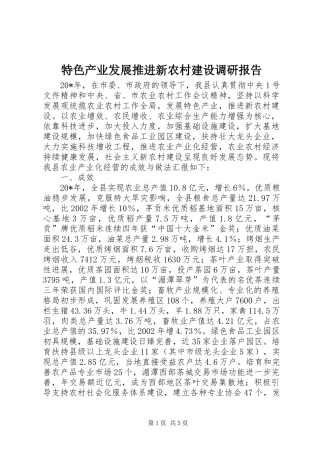 2024年特色产业发展推进新农村建设调研报告