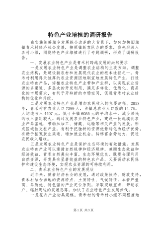 2024年特色产业培植的调研报告