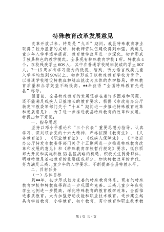 2024年特殊教育改革发展意见