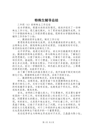 2024年特殊生辅导总结