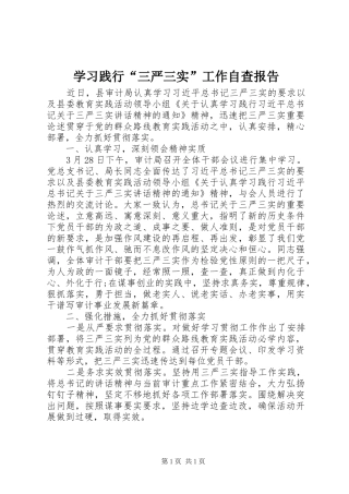 2024年学习践行三严三实工作自查报告