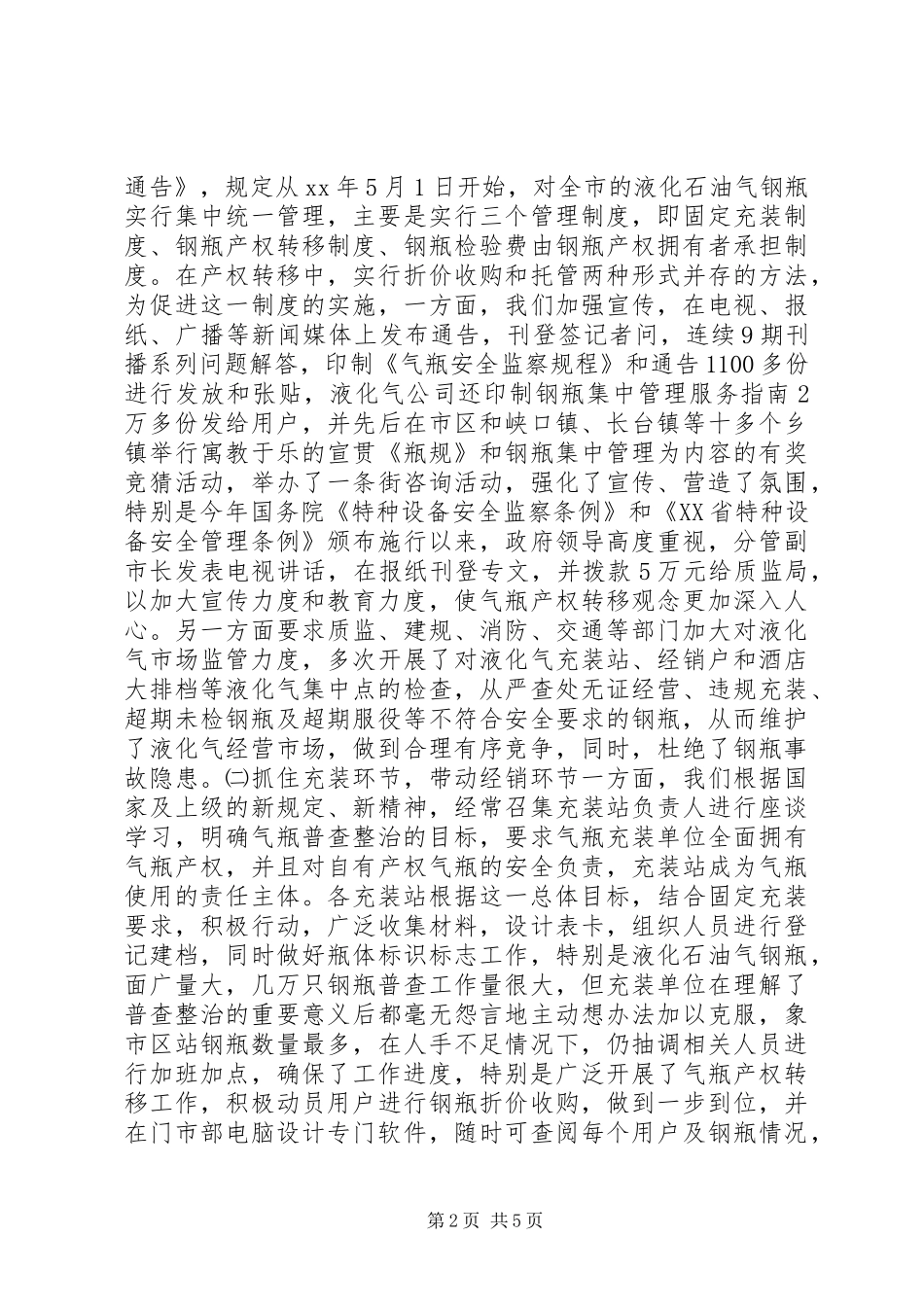 2024年特种设备普查整治工作总结_第2页