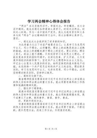 2024年学习两会精神心得体会报告