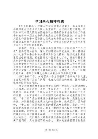 2024年学习两会精神有感