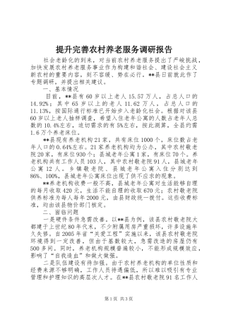 2024年提升完善农村养老服务调研报告