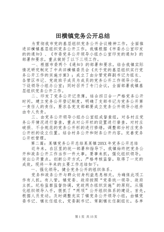 2024年田横镇党务公开总结