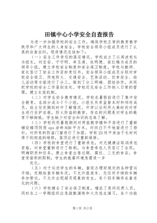 2024年田镇中心小学安全自查报告