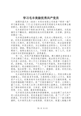 2024年学习毛丰美做优秀共产党员