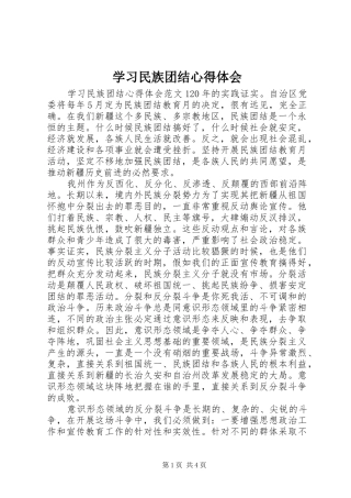 2024年学习民族团结心得体会