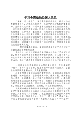 2024年学习全面依法治国之我见