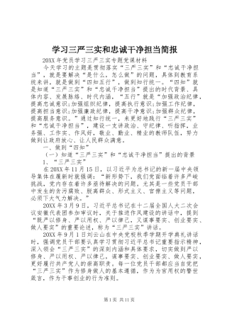 2024年学习三严三实和忠诚干净担当简报
