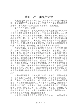 2024年学习三严三实民主评议