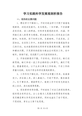 2024年学习实践科学发展观剖析报告