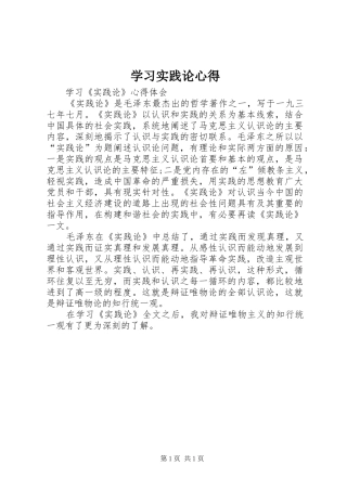 2024年学习实践论心得