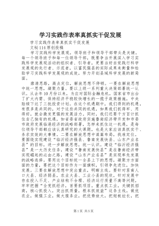 2024年学习实践作表率真抓实干促发展