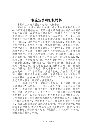 2024年铜企业公司汇报材料