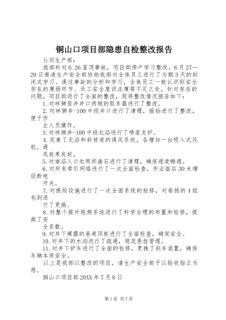 2024年铜山口项目部隐患自检整改报告
