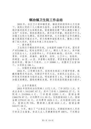 2024年铜冶镇卫生院工作总结