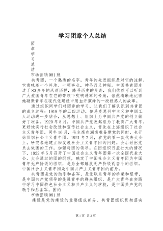 2024年学习团章个人总结
