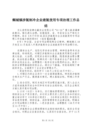 2024年鲖城镇涉氨制冷企业液氨使用专项治理工作总结