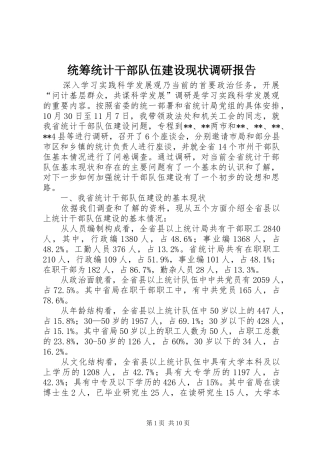 2024年统筹统计干部队伍建设现状调研报告