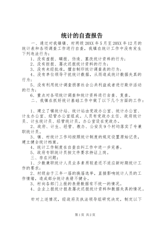 2024年统计的自查报告