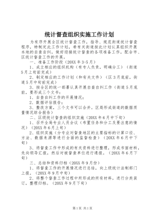 2024年统计督查组织实施工作计划