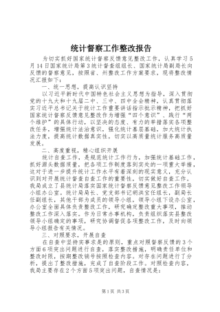 2024年统计督察工作整改报告