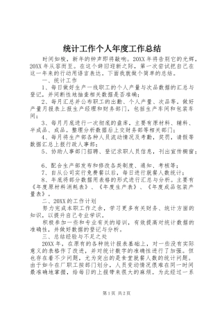 2024年统计工作个人年度工作总结