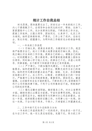 2024年统计工作自我总结