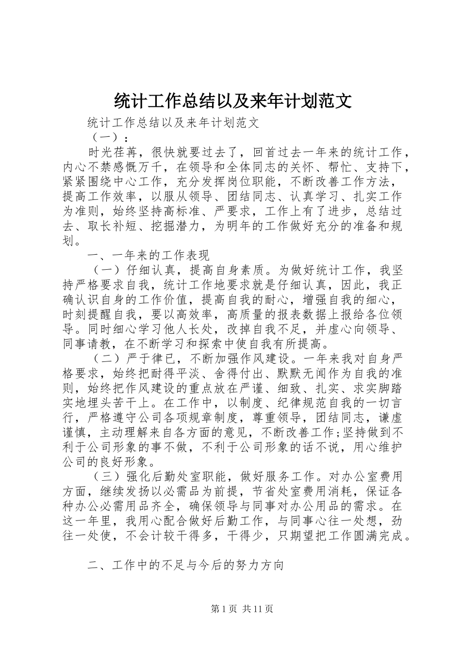 2024年统计工作总结以及来年计划范文_第1页