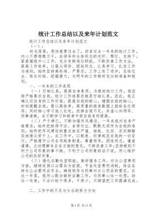 2024年统计工作总结以及来年计划范文