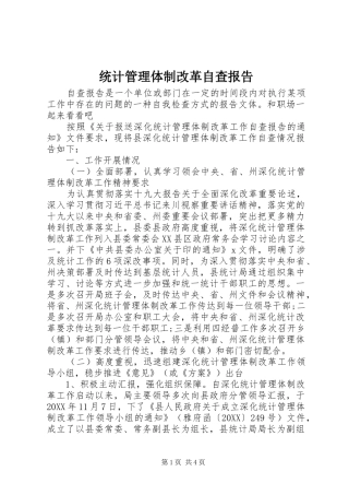 2024年统计管理体制改革自查报告