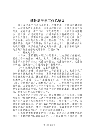 2024年统计局半年工作总结３