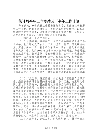 2024年统计局半年工作总结及下半年工作计划