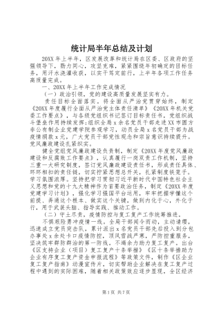 2024年统计局半年总结及计划