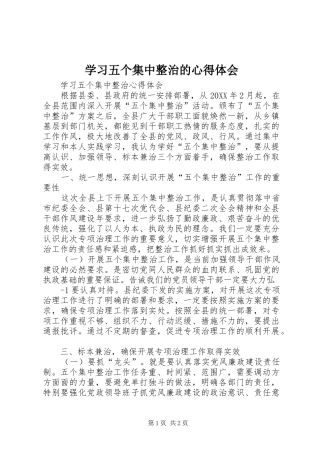 2024年学习五个集中整治的心得体会