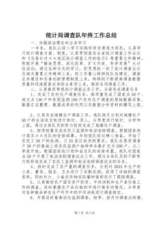 2024年统计局调查队年终工作总结