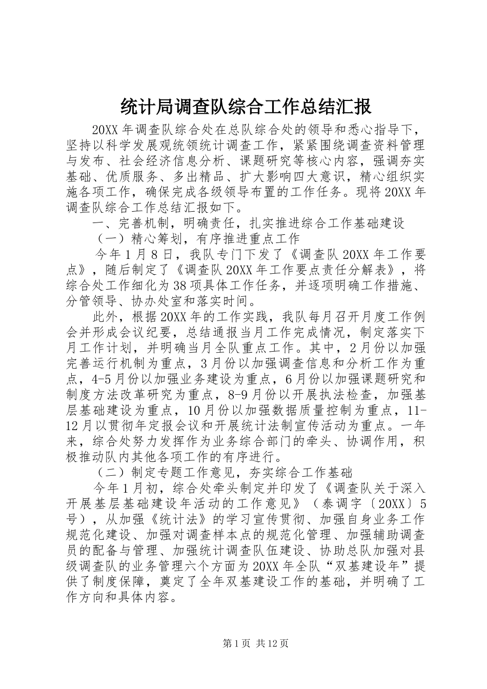 2024年统计局调查队综合工作总结汇报_第1页