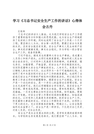 2024年学习习总书记安全生产工作的致辞心得体会古丹