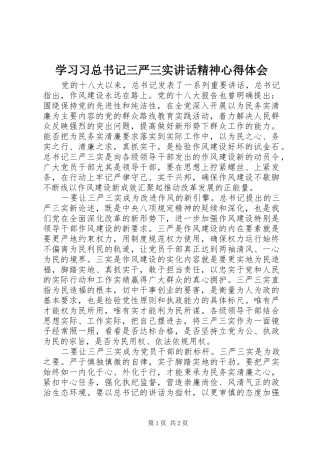 2024年学习习总书记三严三实致辞精神心得体会