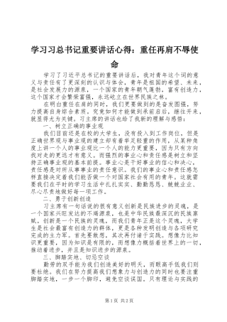 2024年学习习总书记重要致辞心得重任再肩不辱使命